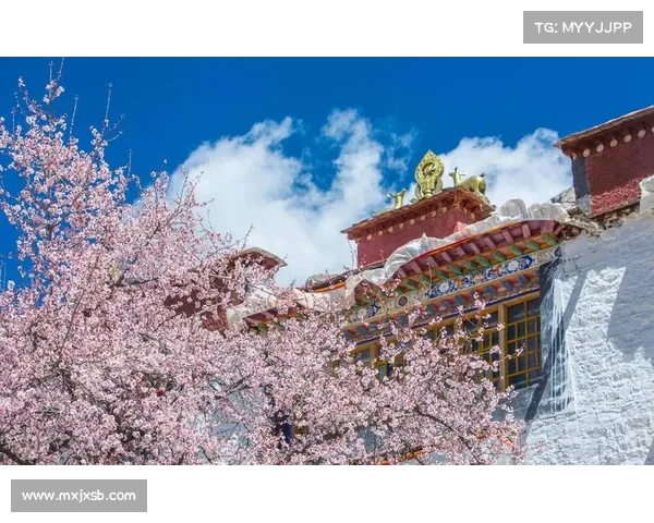 探索永歌森林的最佳时机与季节变化对旅游体验的影响 探索永歌森林的最佳时机与季节变化对旅游体验的影响