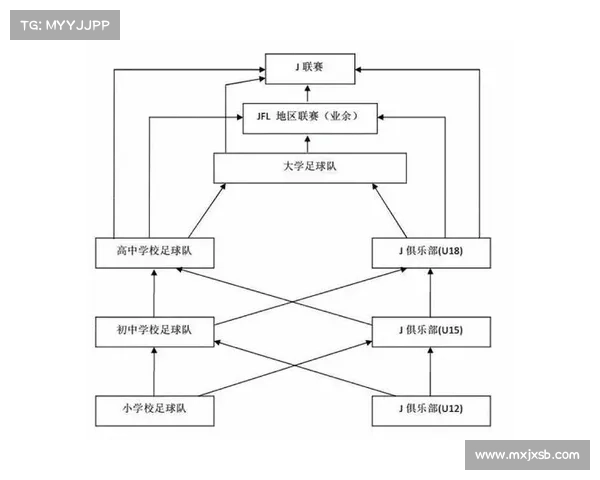 全面解析建业俱乐部的角色定位与发展性质及其在中国足球体系中的作用