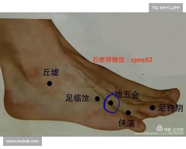 探究足总之名的由来与深层意义分析